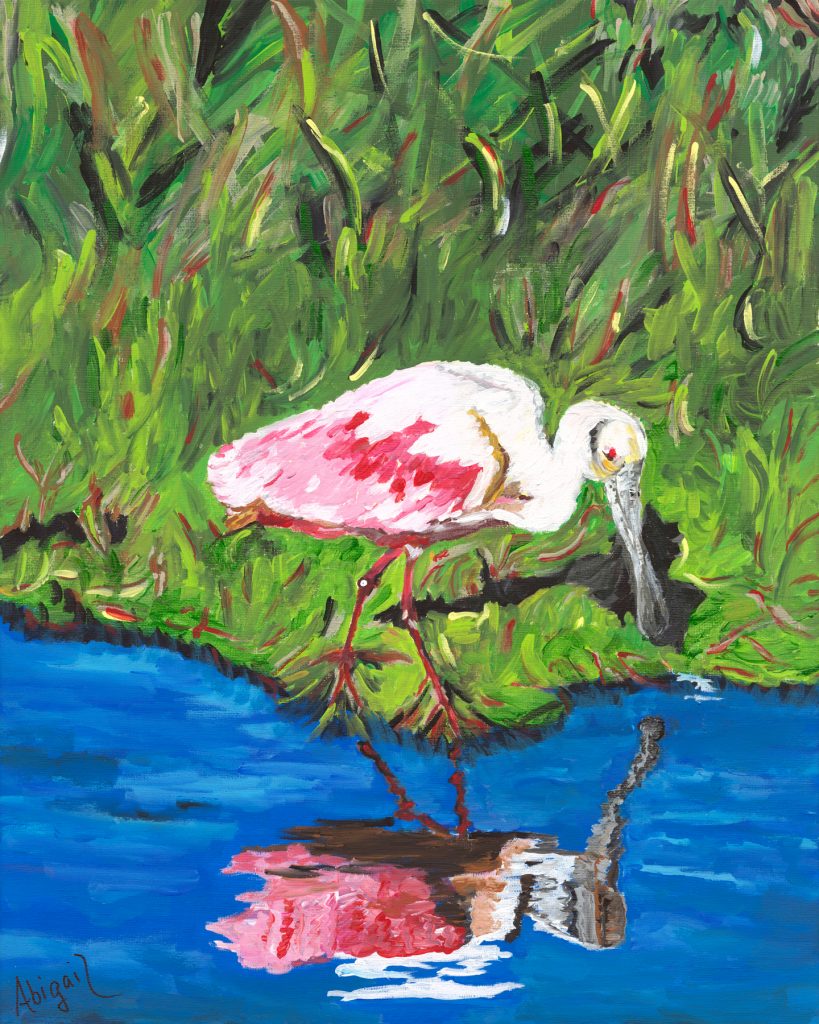 Spoonbill