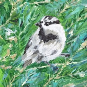 The Sparrow<br>Original Available – 5×7 – $100